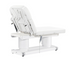 DIR Luxi 4-Motors Medical Spa Treatment Bed Table in White Back View