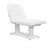 DIR Tranquility 4-Motors Electric Medical Spa Treatment Table In White Display