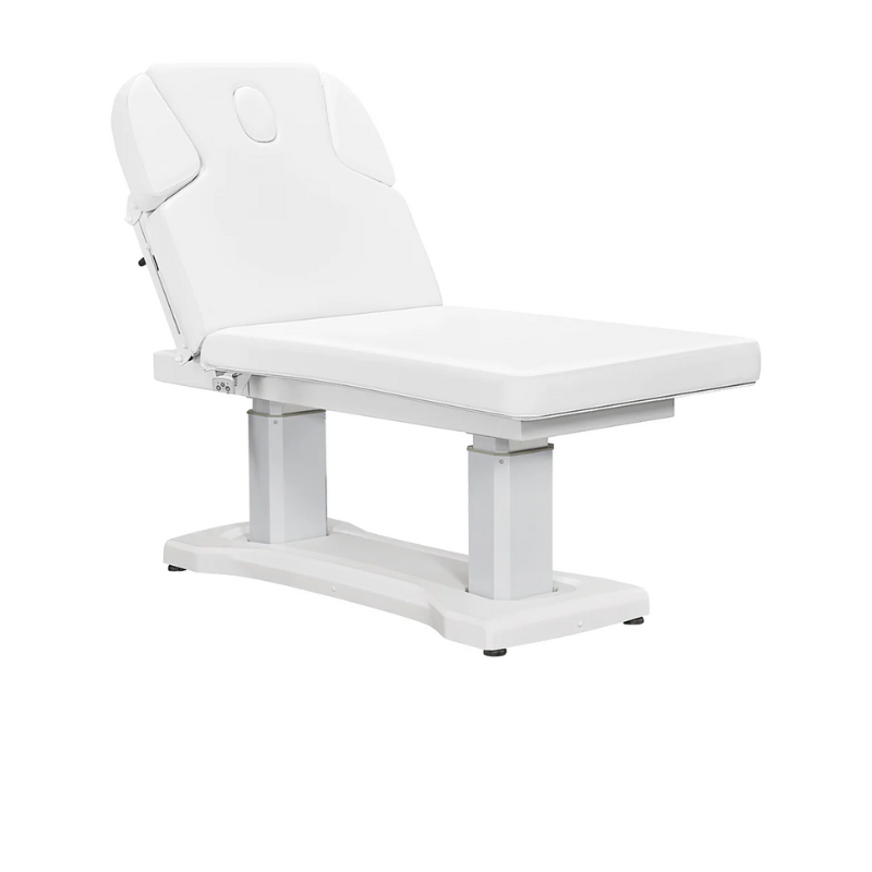 DIR Tranquility 4-Motors Electric Medical Spa Treatment Table In White Display